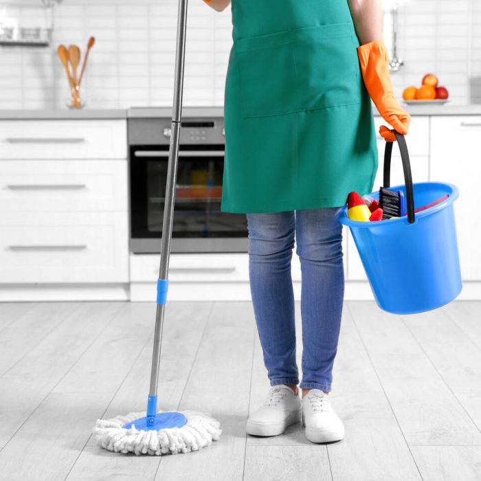 Maid Services